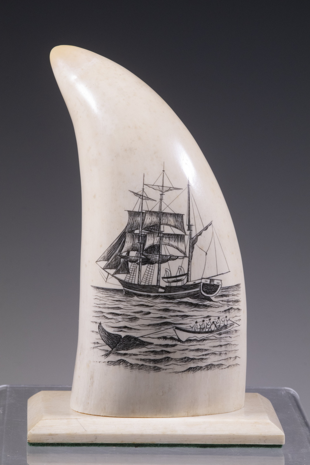 SCRIMSHAW, NORTH AMERICA, 19TH C.