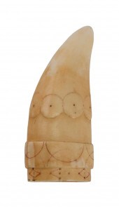 SCRIMSHAW SEA LION'S TOOTH 19T