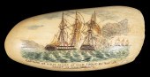 SCRIMSHAW SPERM WHALE TOOTH "C