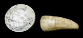SCRIMSHAW TOOTH AND SIMILARLY