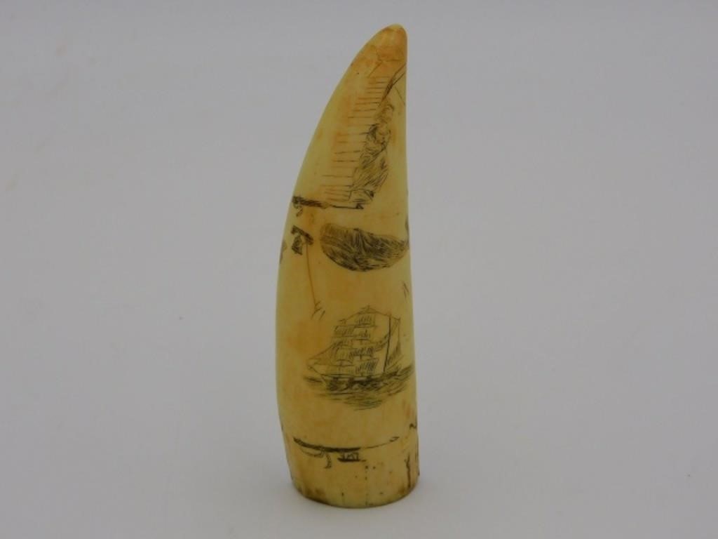 SCRIMSHAW TOOTH. EARLY 20TH C.