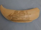 SCRIMSHAW TOOTH W/WHALE SHIPLa
