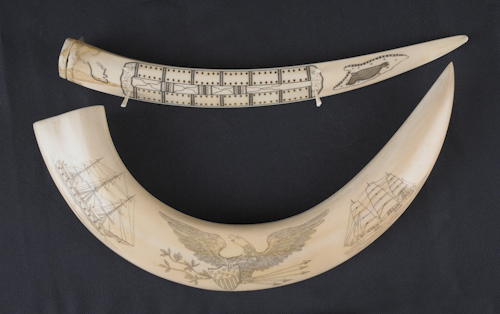 Scrimshaw tusk with ships and an