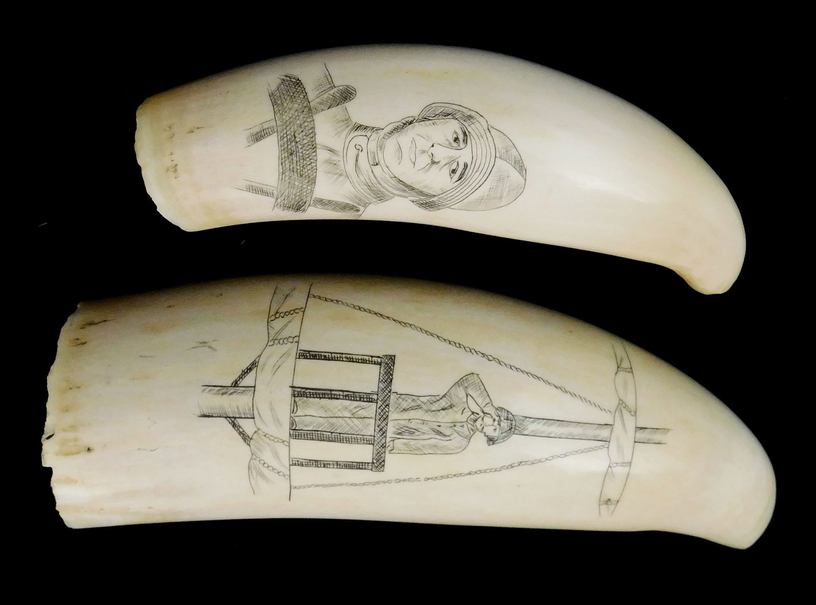 SCRIMSHAW: TWO ENGRAVED WHALE