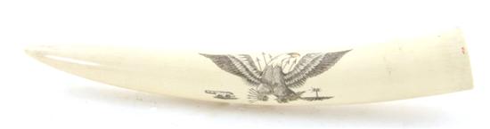 Scrimshaw walrus tusk 19th