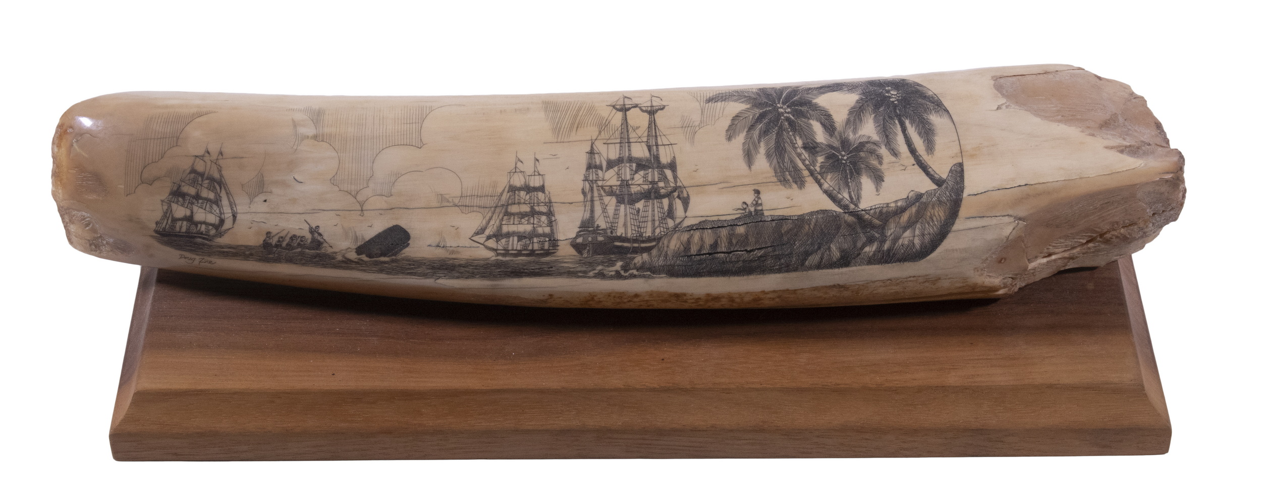 SCRIMSHAW WALRUS TUSK BY DOUG