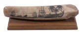 SCRIMSHAW WALRUS TUSK BY DOUG