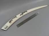SCRIMSHAW WALRUS TUSK - HB SLW