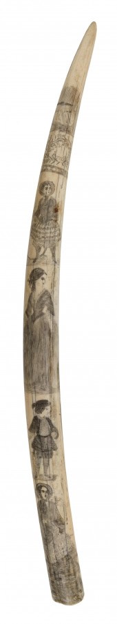 SCRIMSHAW WALRUS TUSK WITH MOS