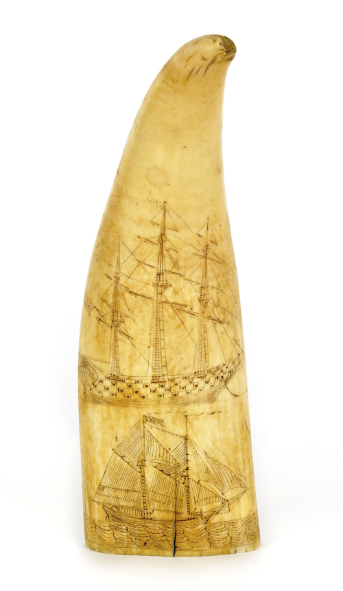 Scrimshaw whale tooth 19th c.
