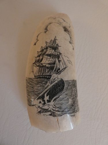SCRIMSHAW WHALE TOOTH -