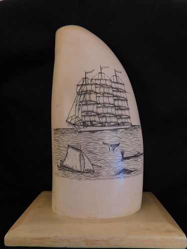 SCRIMSHAW WHALE TOOTH -