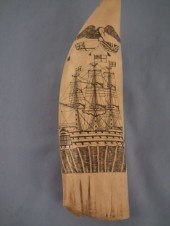 SCRIMSHAW WHALE TOOTHLarge scr