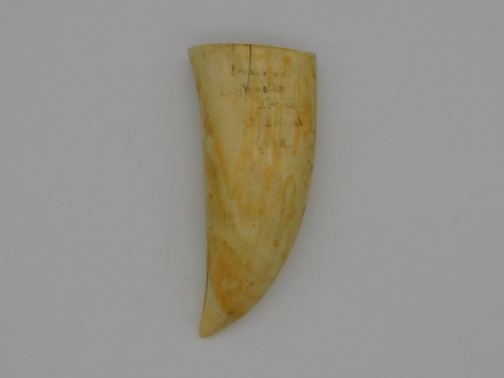 SCRIMSHAW WHALE'S TOOTH, 19TH C.