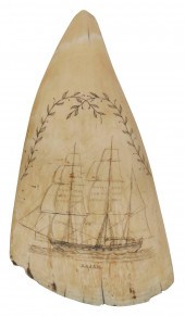 SCRIMSHAW WHALE'S TOOTH 19TH C