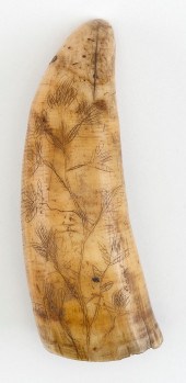 SCRIMSHAW WHALE'S TOOTH 19TH C