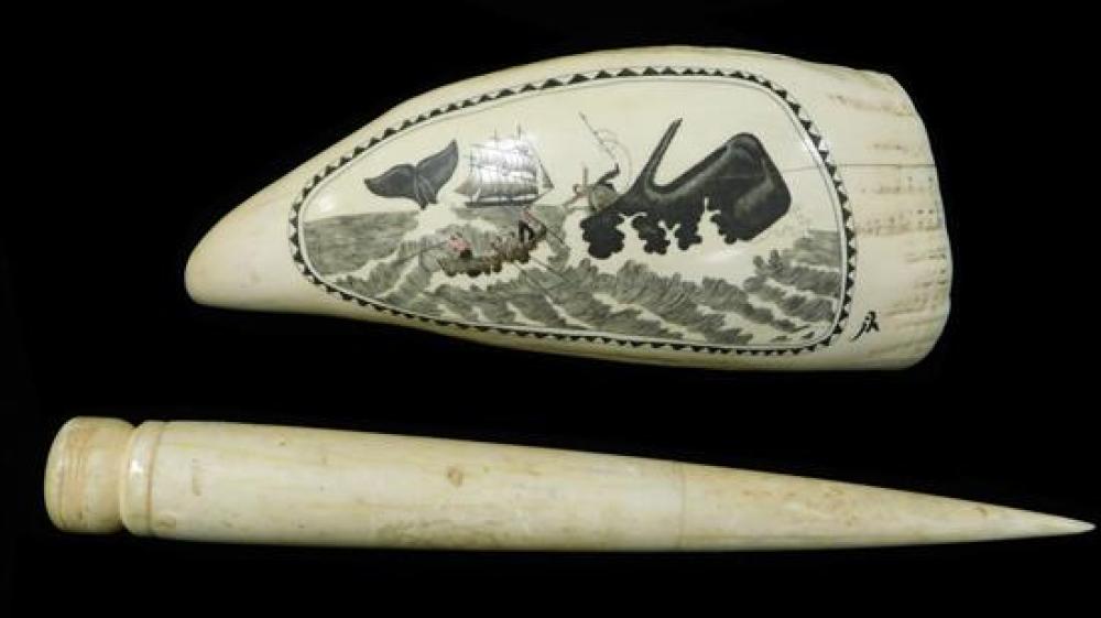 SCRIMSHAW WHALE'S TOOTH AND A