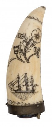 SCRIMSHAW WHALE'S TOOTH ATTRIB