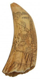 SCRIMSHAW WHALE'S TOOTH ATTRIB