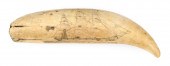SCRIMSHAW WHALE'S TOOTH ATTRIB