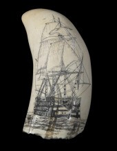 SCRIMSHAW WHALE'S TOOTH BY J.R