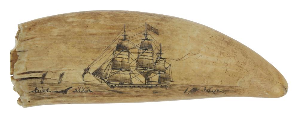 SCRIMSHAW WHALE'S TOOTH BY THE