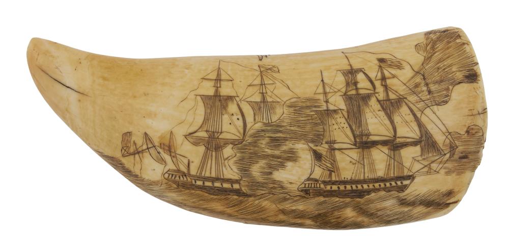 SCRIMSHAW WHALE'S TOOTH