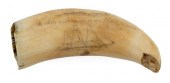 SCRIMSHAW WHALE'S TOOTH DATED