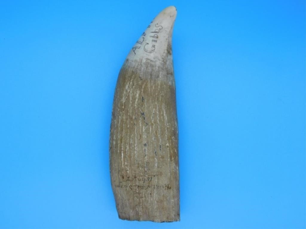 SCRIMSHAW WHALES TOOTH, DATED 1857.