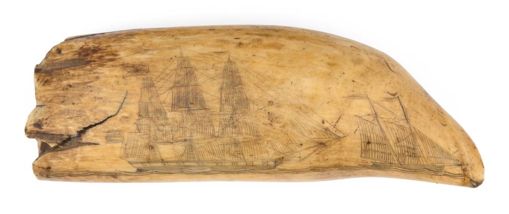 SCRIMSHAW WHALE'S TOOTH DEPICTING