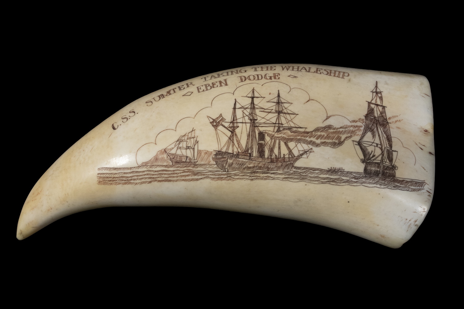 SCRIMSHAW WHALE'S TOOTH Engraved