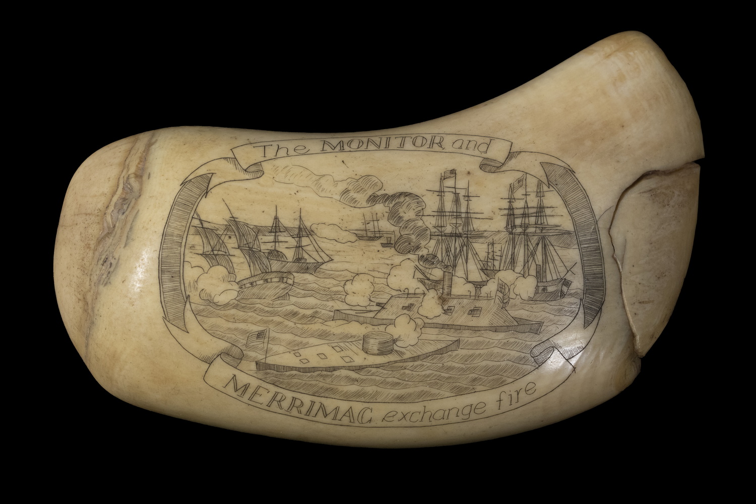 SCRIMSHAW WHALE'S TOOTH Engraved