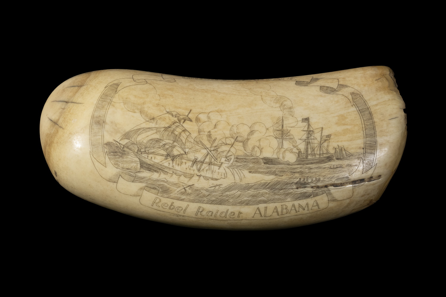 SCRIMSHAW WHALE'S TOOTH Engraved