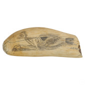 SCRIMSHAW WHALES TOOTH FIJI ME