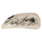SCRIMSHAW WHALES TOOTH SPERM W