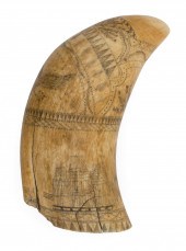 SCRIMSHAW WHALE'S TOOTH WITH E