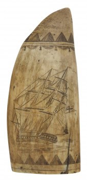 SCRIMSHAW WHALE'S TOOTH WITH F