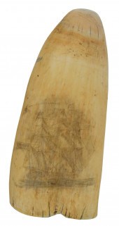 SCRIMSHAW WHALE'S TOOTH WITH S
