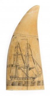 SCRIMSHAW WHALE’S TOOTH WITH S