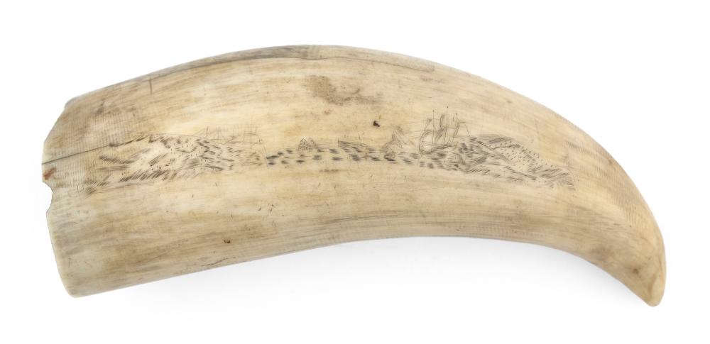 SCRIMSHAW WHALE’S TOOTH WITH