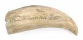 SCRIMSHAW WHALE’S TOOTH WITH W