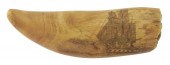 SCRIMSHAW WHALE'S TOOTH WITH W