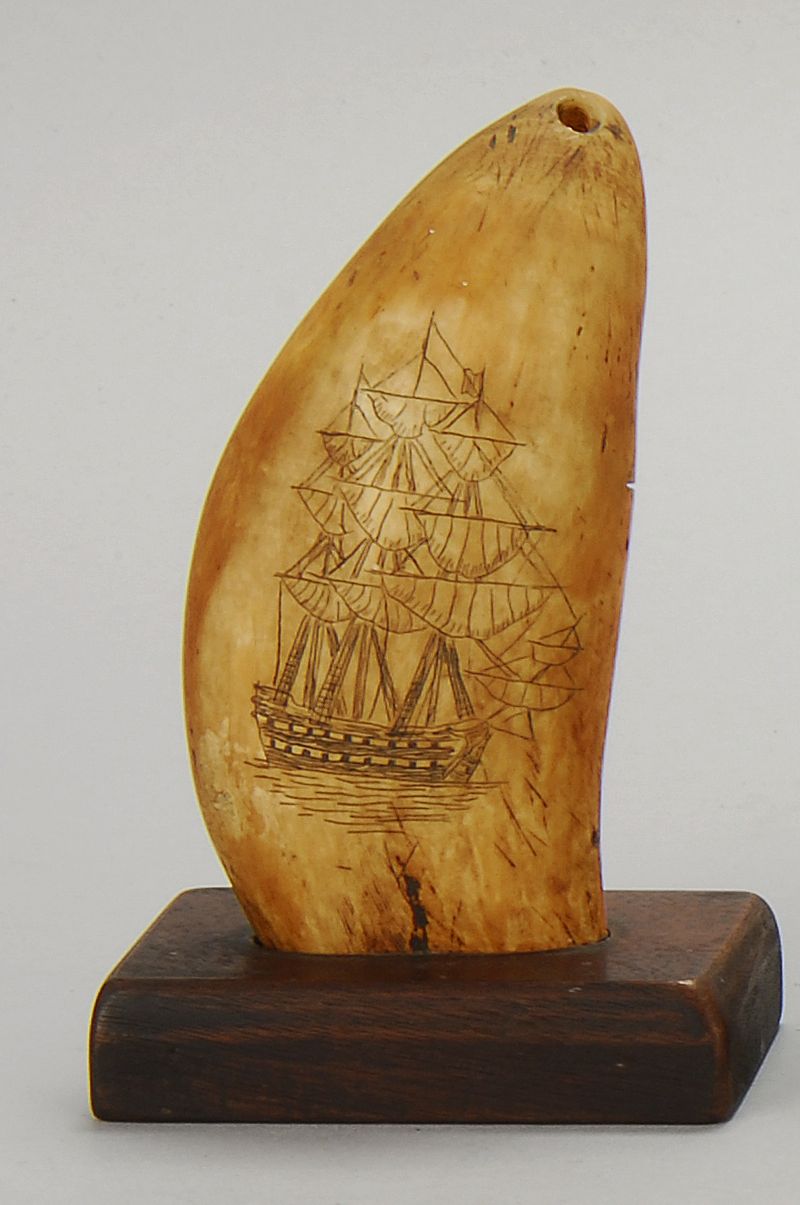 SCRIMSHAW WHALE'S TOOTH19th