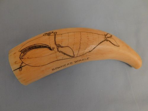SCRIMSHAW WHALES TOOTHWhales