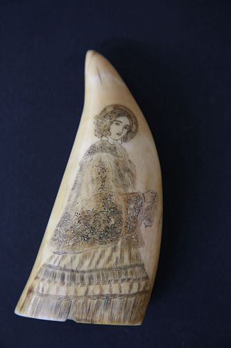 SCRIMSHAWED ANTIQUE SPERM WHALE