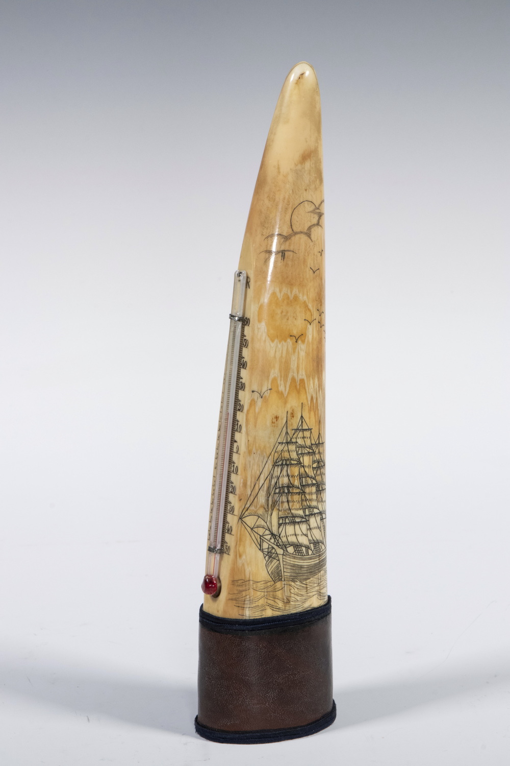 SCRIMSHAWN WALRUS IVORY TUSK TIP