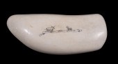 SCRIMSHAWN WHALE'S TOOTH Bull