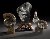 Sculptural Ammonite Fossil Spe