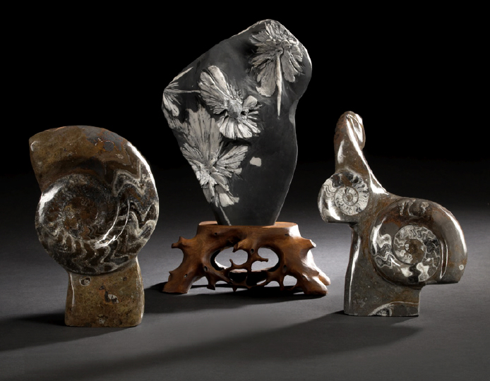 Sculptural Group of Two Ammonite