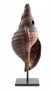 SEA SHELL SPECIMEN ON STAND Se